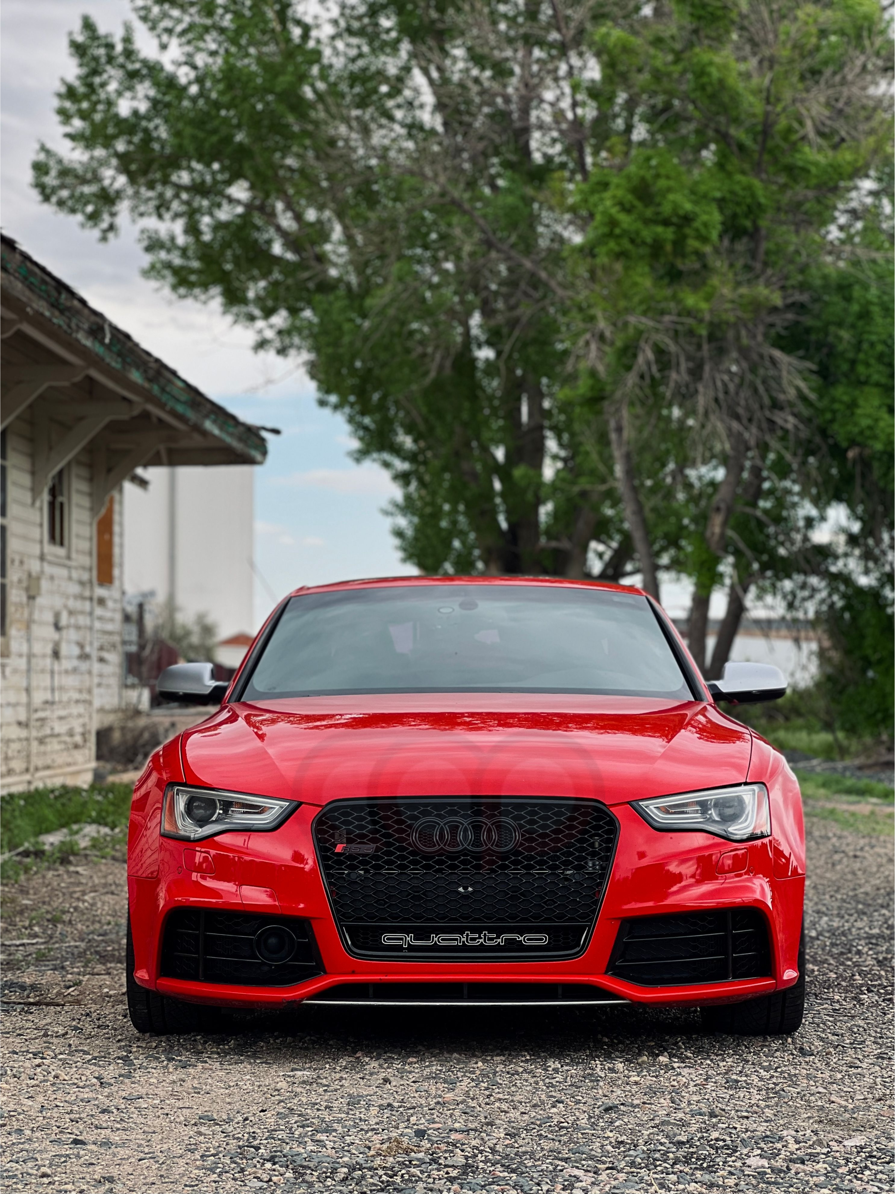 2013-2017 Audi RS5 Honeycomb Grille Quattro | B8.5 Audi A5/S5/RS5