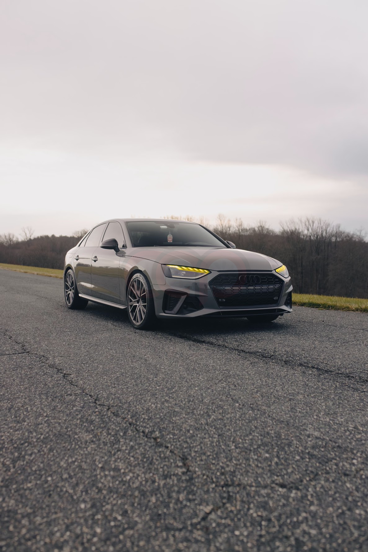 2020-2025 Audi RS4 Honeycomb Grille | B9.5 Audi A4/S4