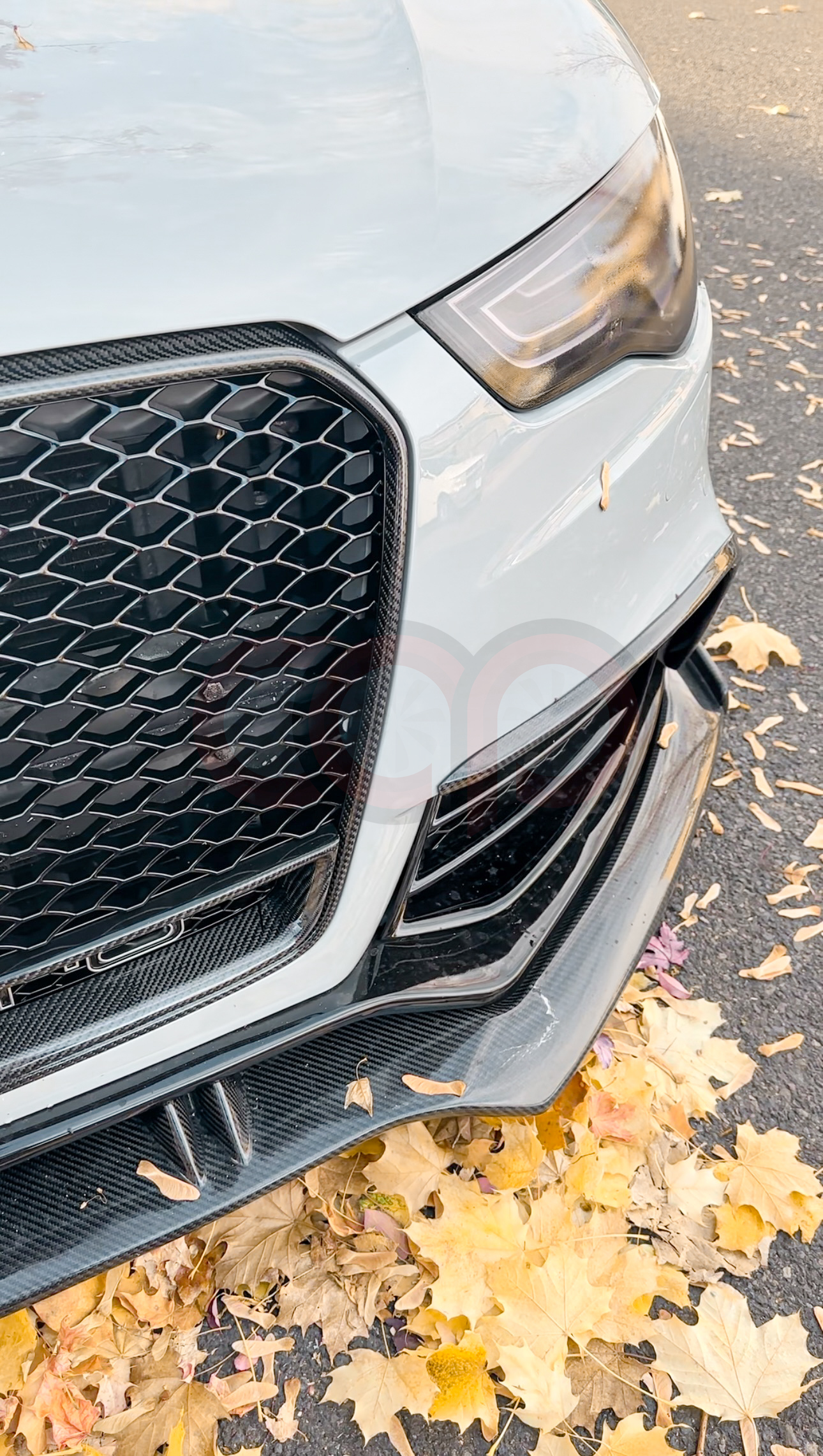 2013-2017 Audi RS5 Honeycomb Grille | B8.5 Audi A5/S5/RS5 | Real Carbon Fiber