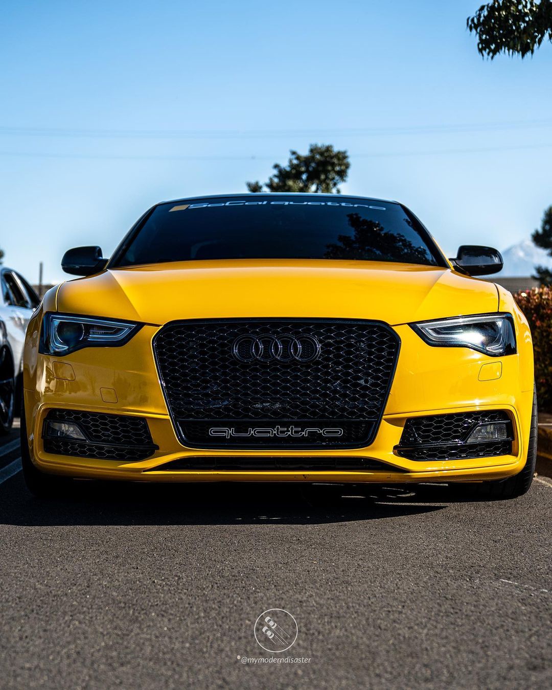 2013-2017 Audi RS5 Honeycomb Grille Quattro | B8.5 Audi A5/S5/RS5