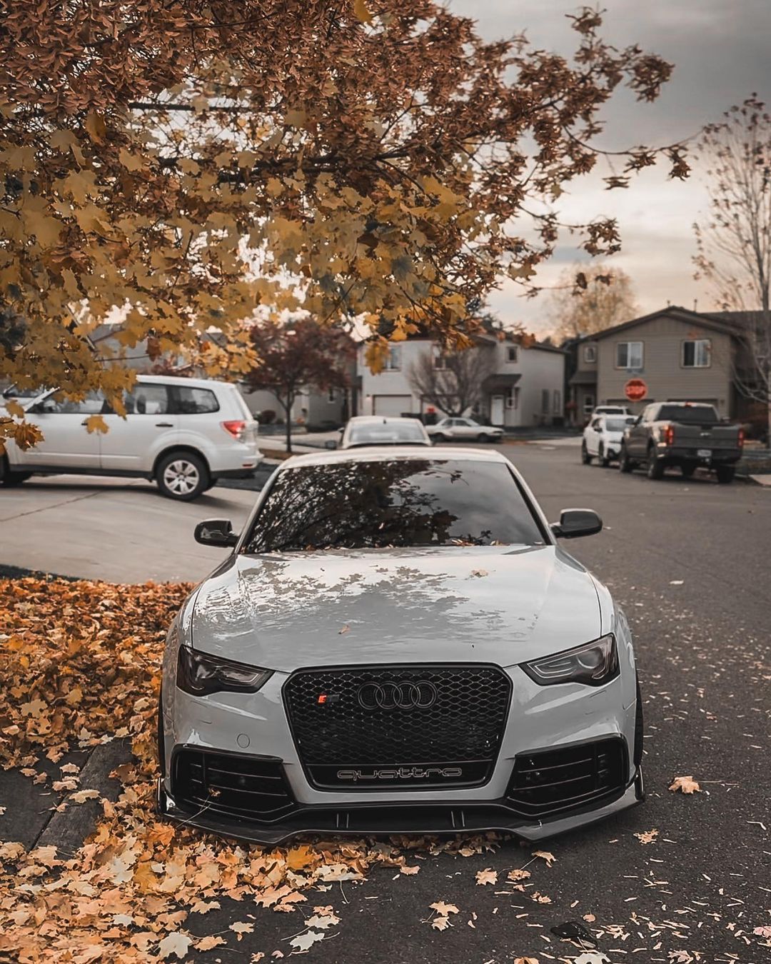 2013-2017 Audi RS5 Honeycomb Grille Quattro | B8.5 Audi A5/S5/RS5