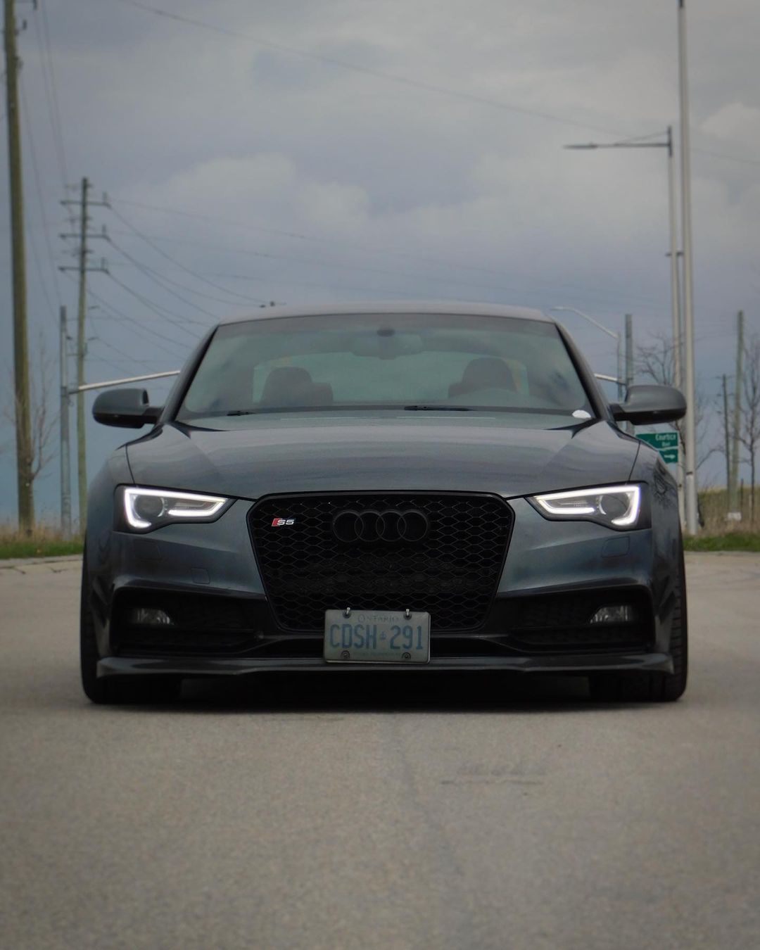 2013-2017 Audi RS5 Honeycomb Grille | B8.5 Audi A5/S5/RS5