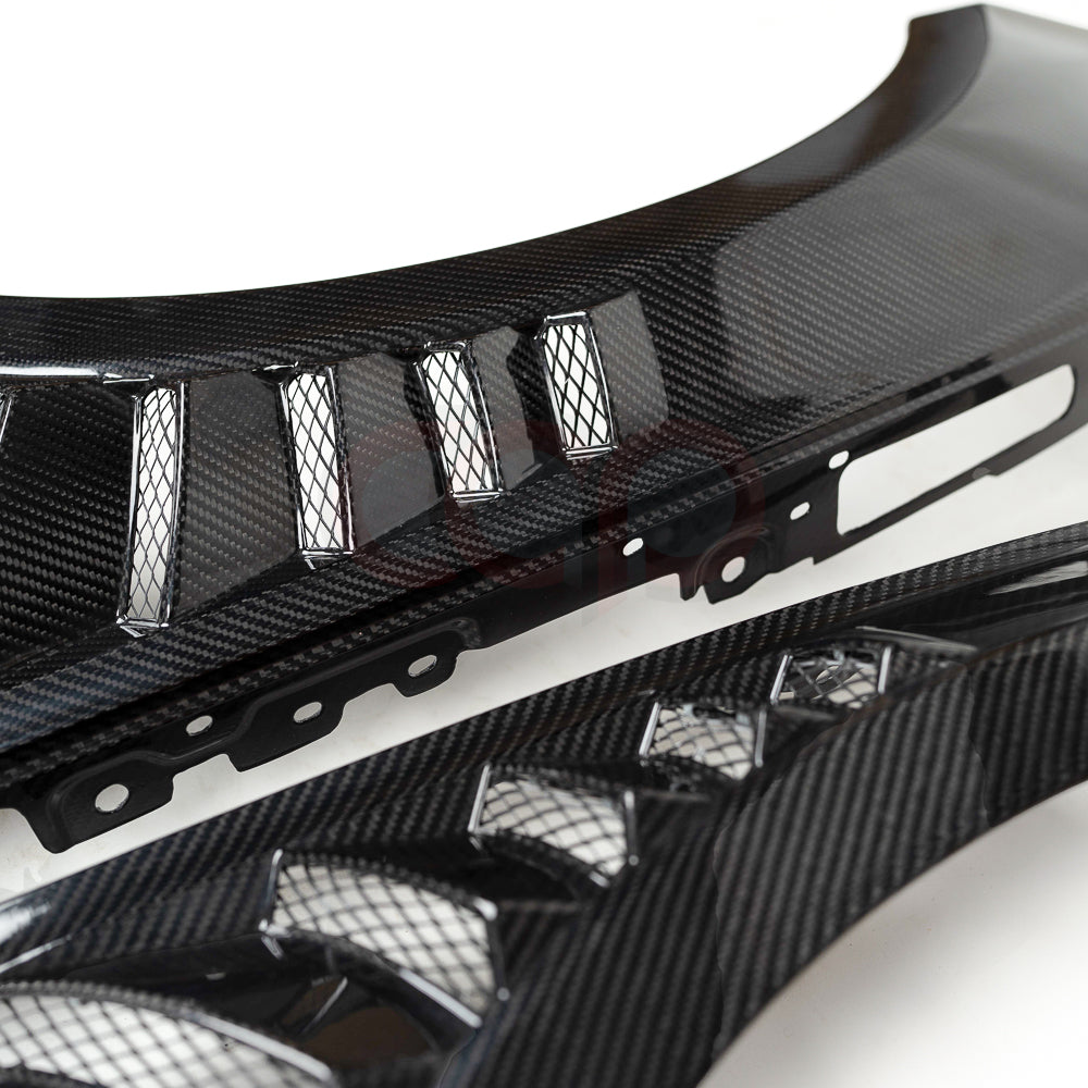 2018-2024 B9/B9.5 AUDI A5/S5 CAP Dry Carbon Fiber Fenders (Pair)