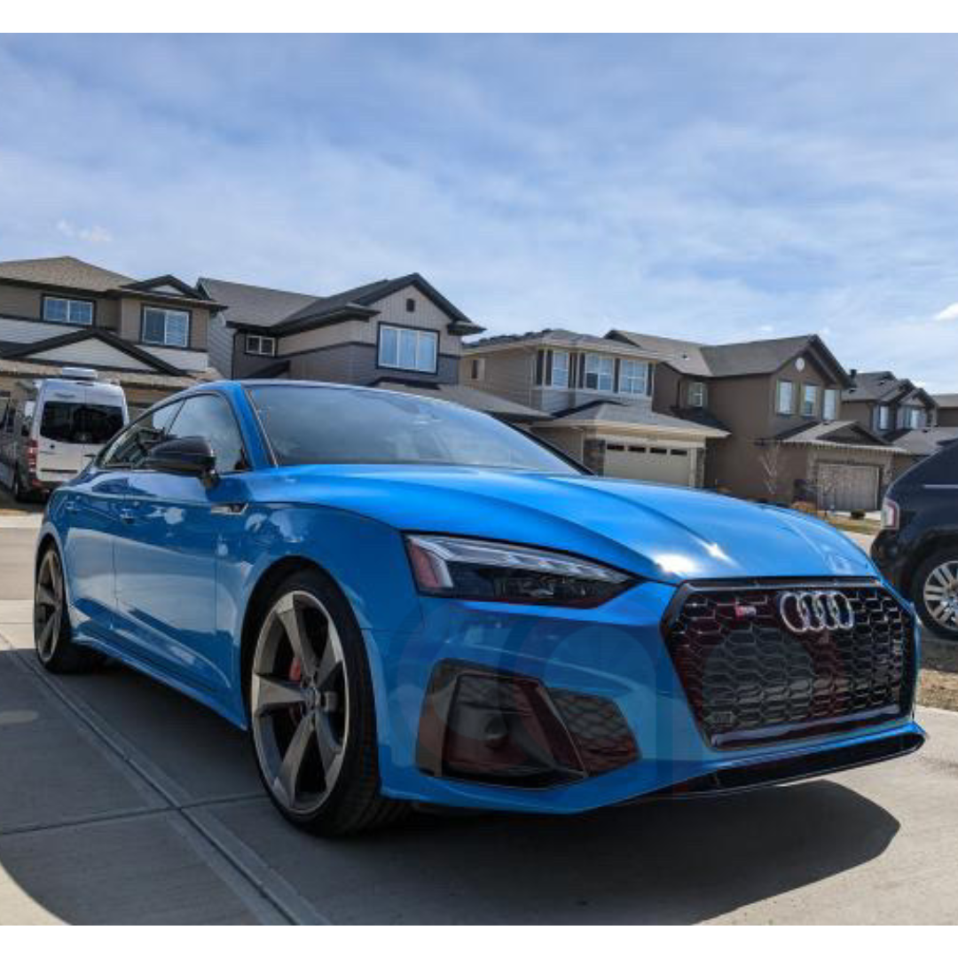 2020-2024 B9.5 Audi RS5 Honeycomb Grille | B9.5 Audi A5/S5