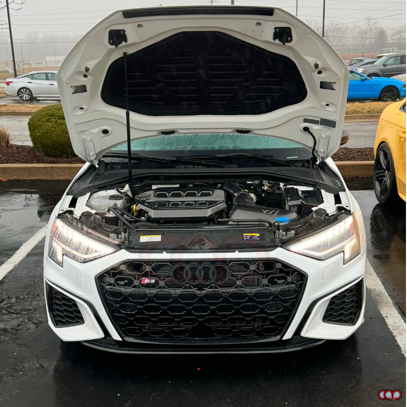 2021-2024 Audi RS3 Honeycomb Grille | 8Y Audi A3/S3