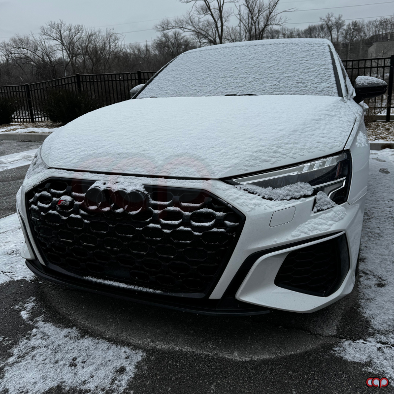 2021-2024 Audi RS3 Honeycomb Grille | 8Y Audi A3/S3
