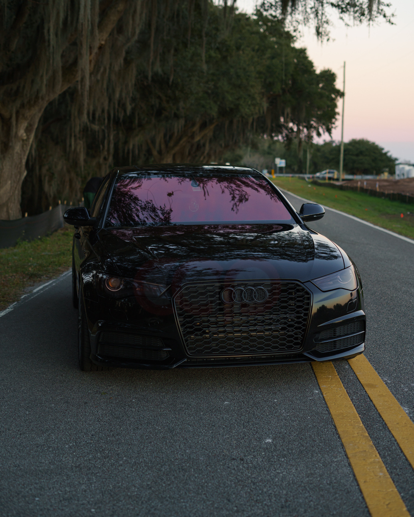 2016-2018 Audi RS6 Honeycomb Grille | C7.5 Audi A6/S6