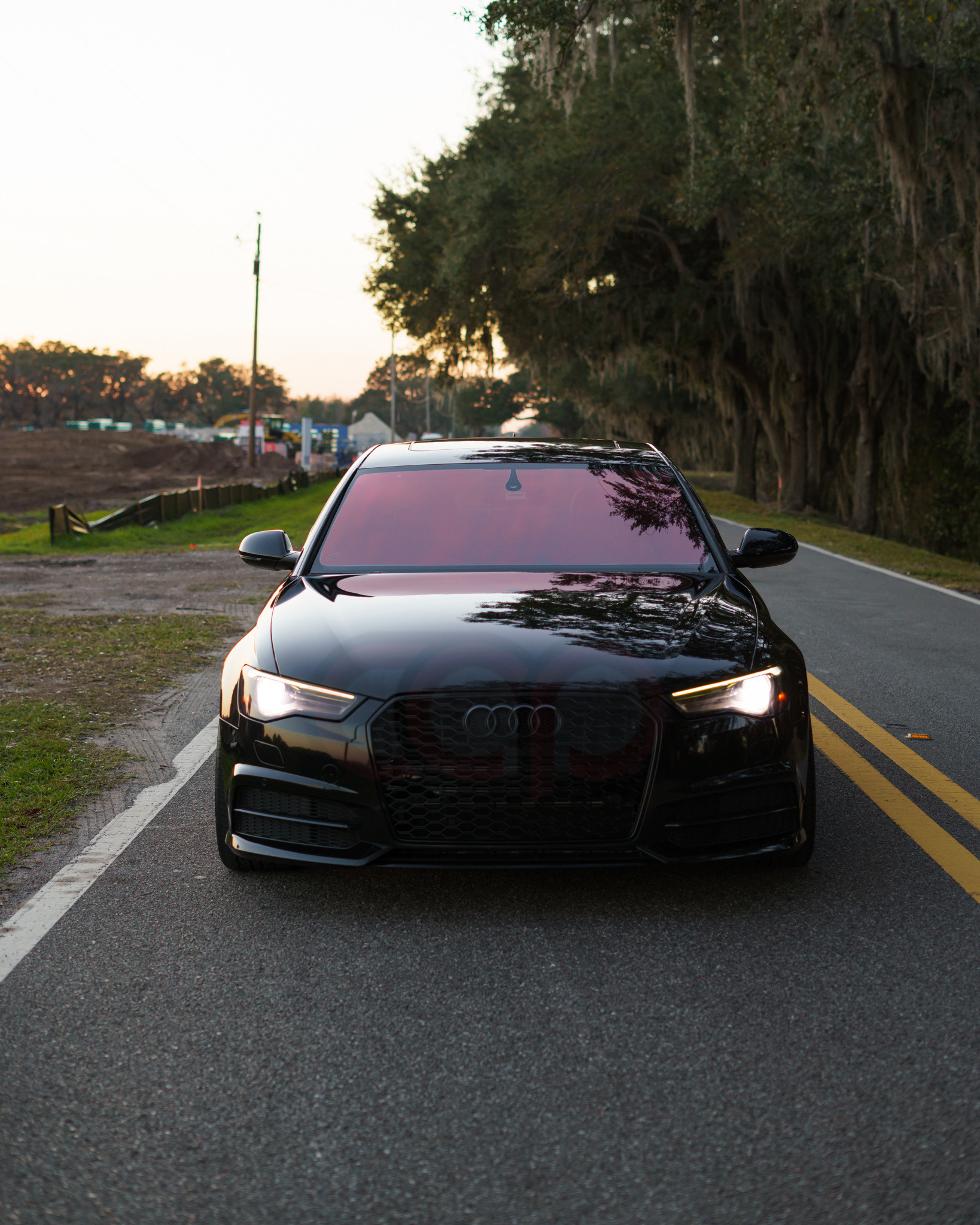 2016-2018 Audi RS6 Honeycomb Grille | C7.5 Audi A6/S6
