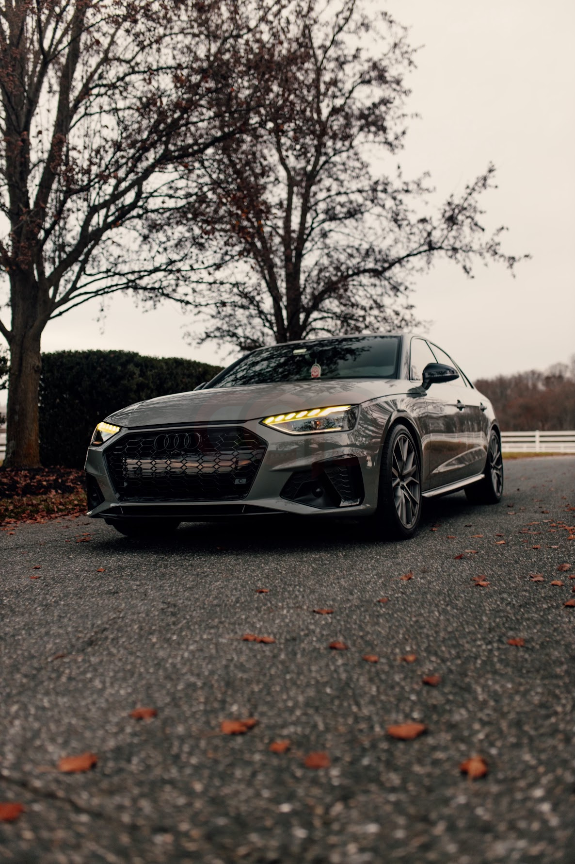 2020-2025 Audi RS4 Honeycomb Grille | B9.5 Audi A4/S4