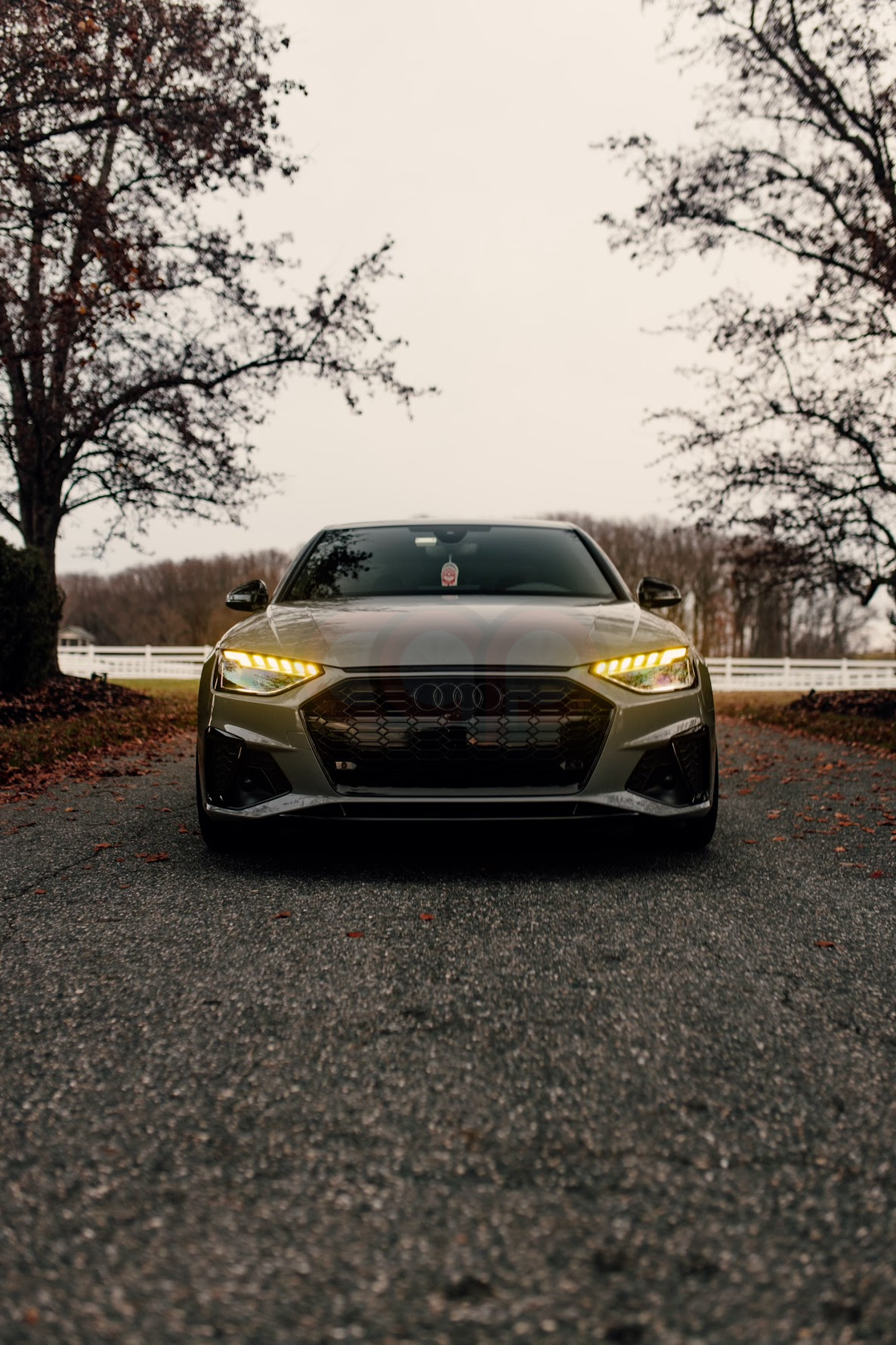 2020-2025 Audi RS4 Honeycomb Grille | B9.5 Audi A4/S4