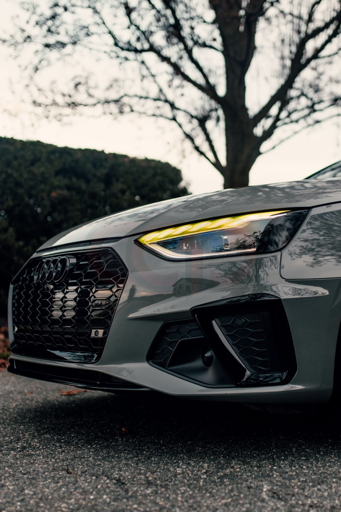 2020-2025 Audi RS4 Honeycomb Grille | B9.5 Audi A4/S4