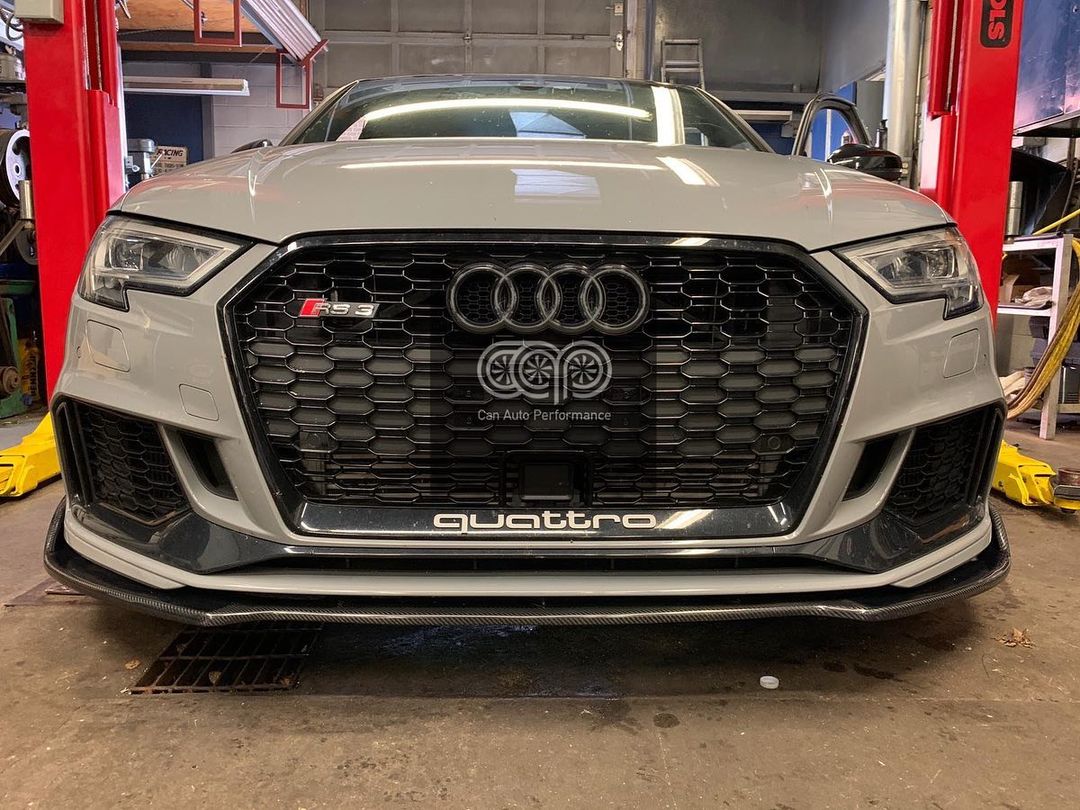 2017-2020 Audi RS3 Honeycomb Grille | 8V.5 Audi A3/S3