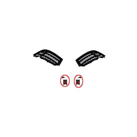 Bumper Accessories for CAP B8.5 RS5 Bumper