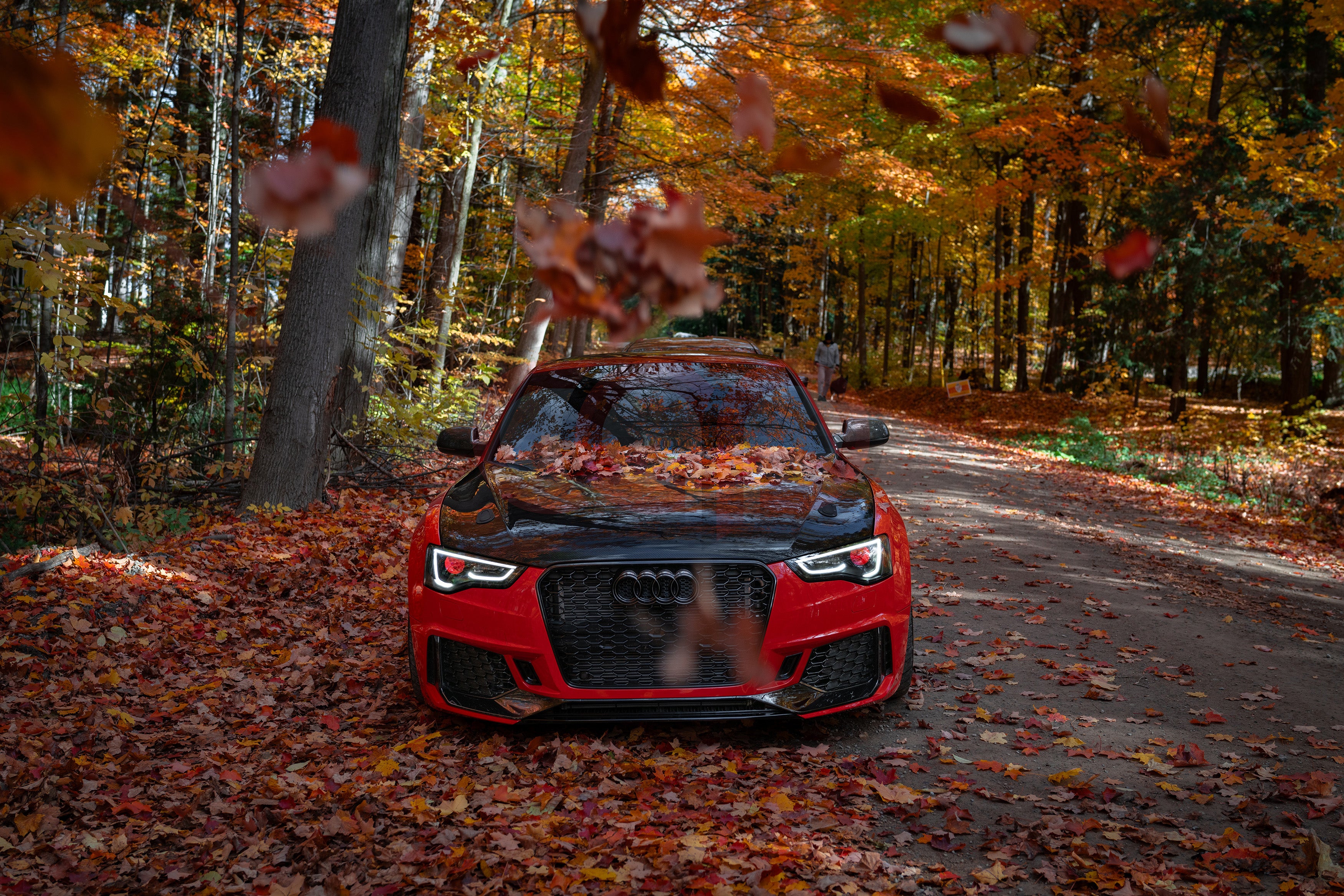 Demon Eyes Kit (Set) | Canadian Auto Performance