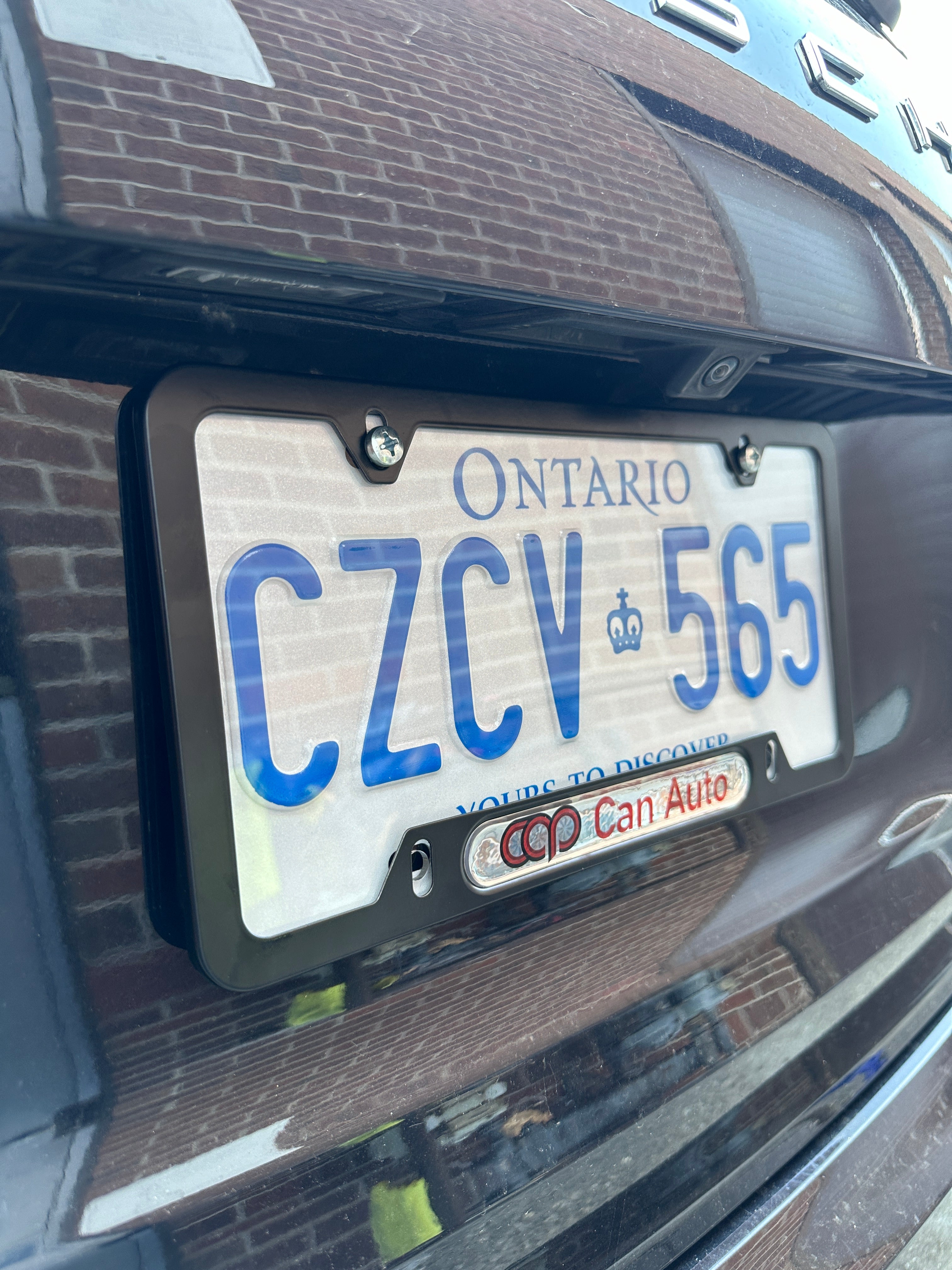 Clear License Plate Protector (Pair) | Canadian Auto Performance
