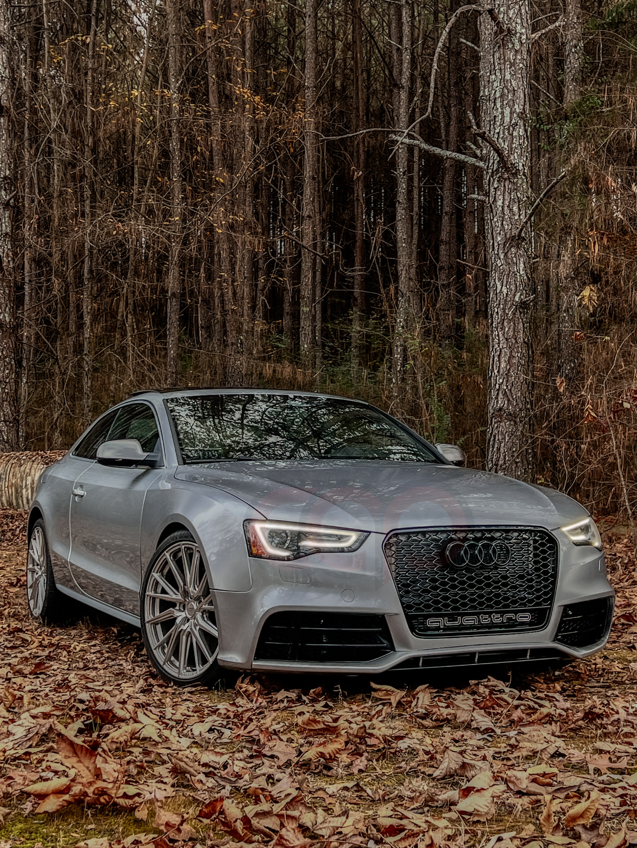 2013-2017 B8.5 Audi A5/S5 CAP Front Bumper | Audi RS5 Bumper - V1