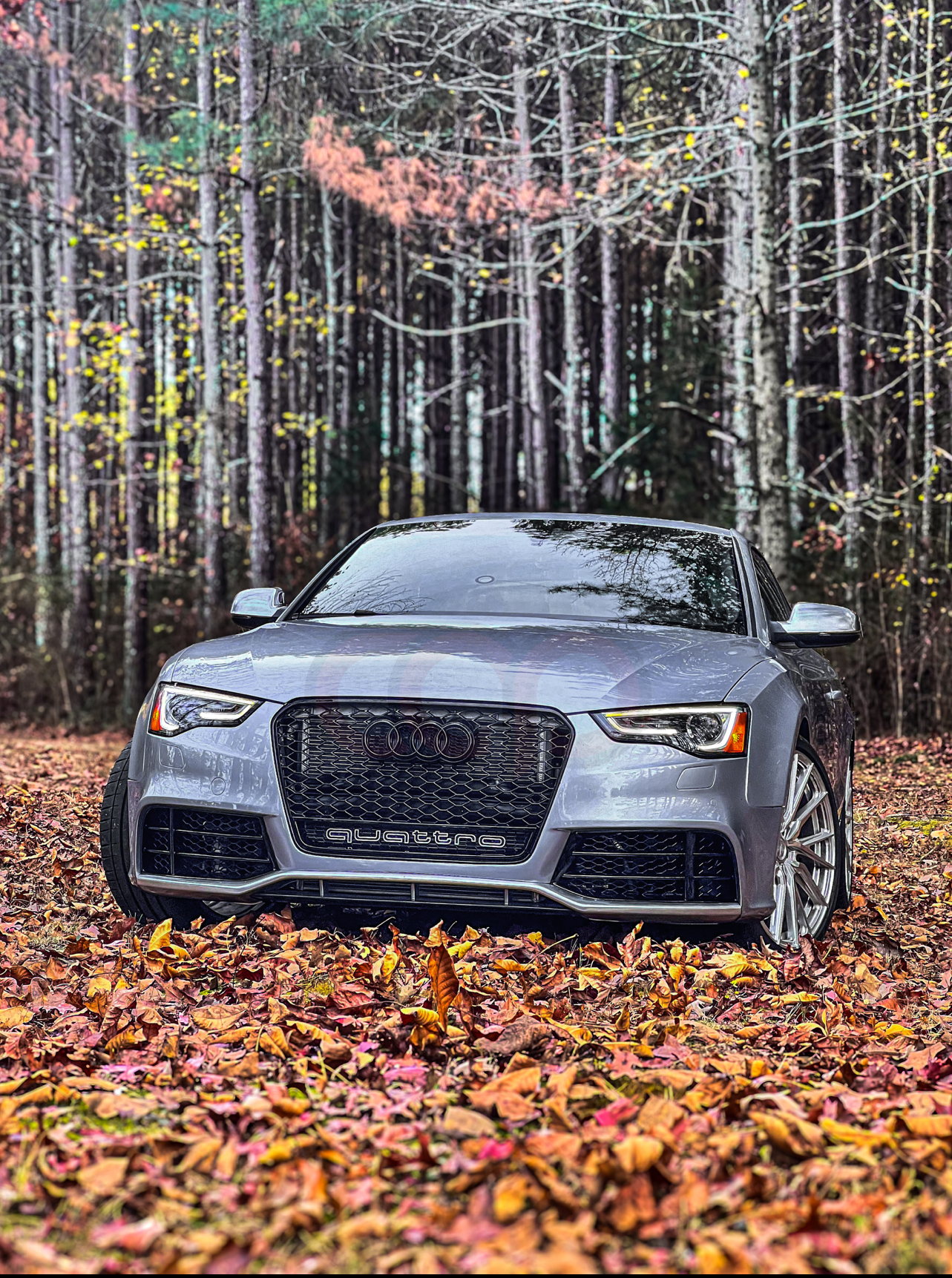 2013-2017 B8.5 Audi A5/S5 CAP Front Bumper | Audi RS5 Bumper - V1