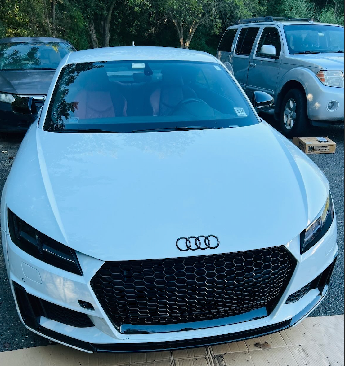 2016-2024 Audi TTRS Honeycomb Grille Lower Frame Quattro | MK3 8S TT/TTS - V1