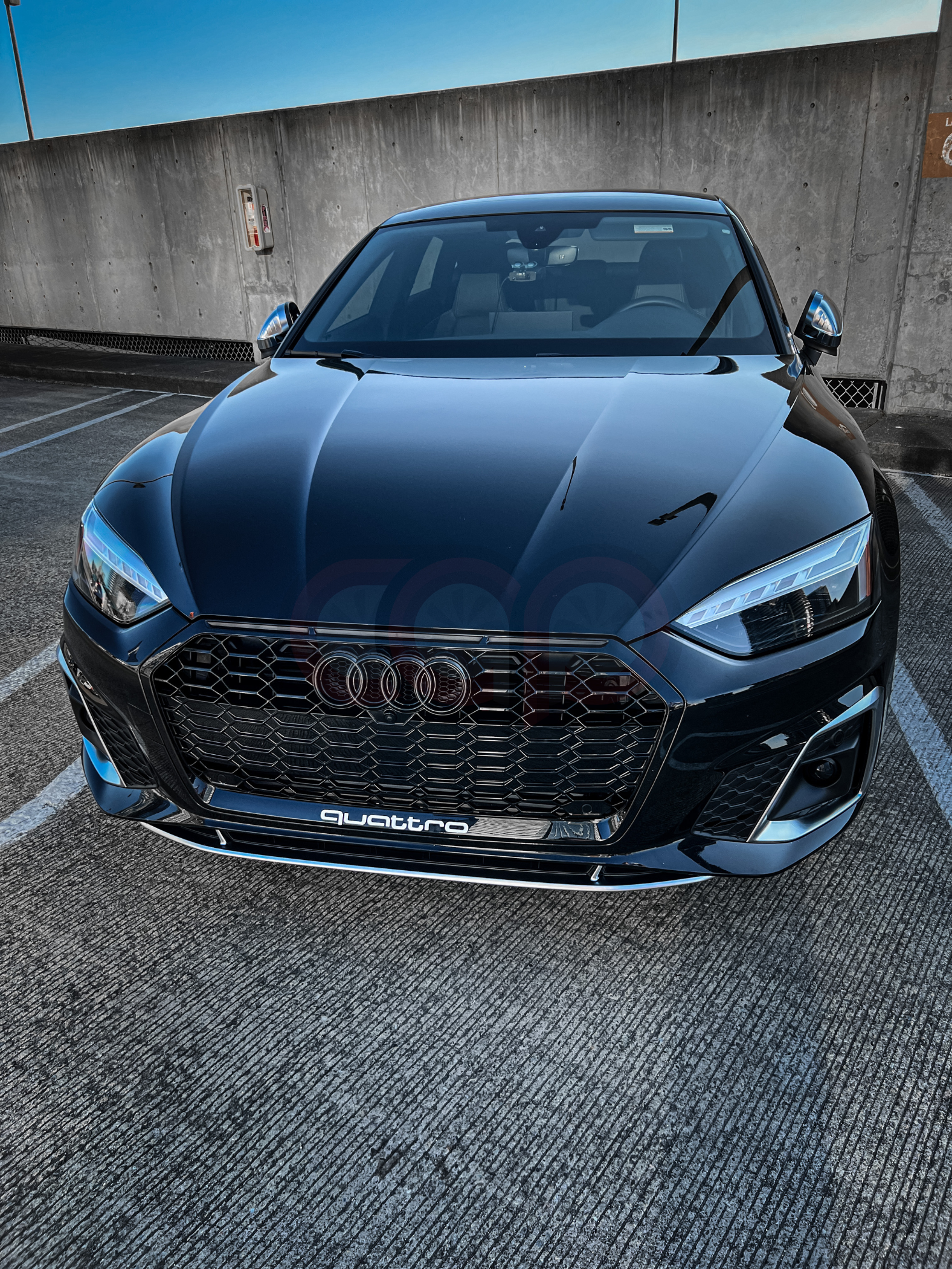 2020-2024 B9.5 Audi RS5 Honeycomb Grille | B9.5 Audi A5/S5