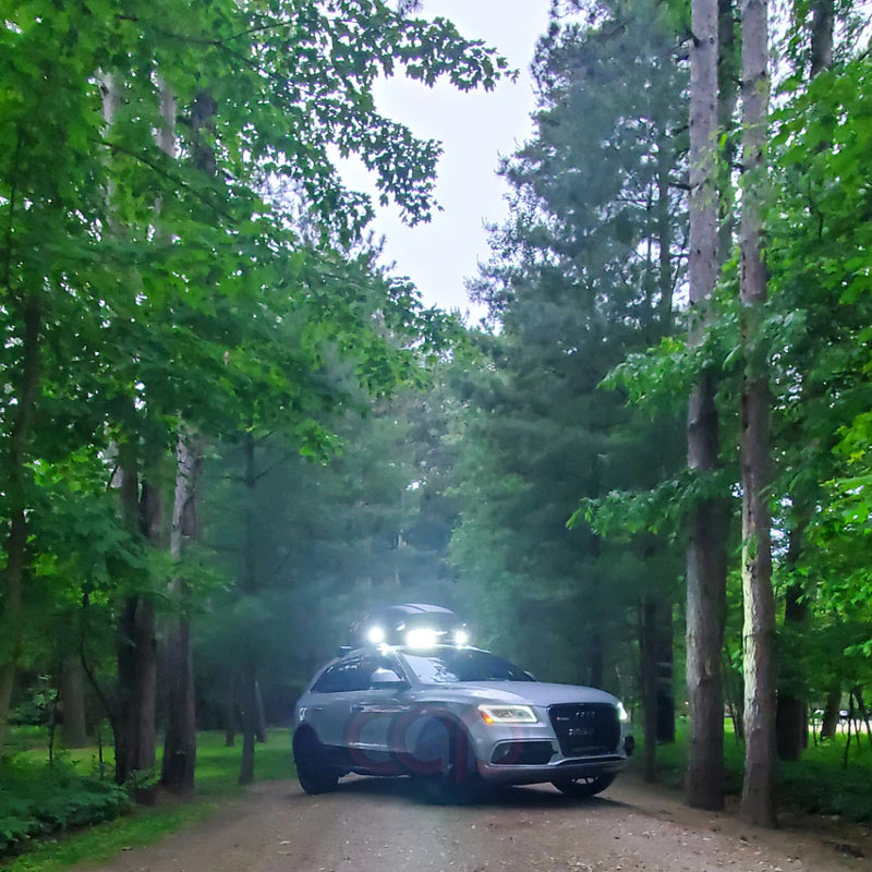 2013-2017 Audi RSQ5 Honeycomb Grille Quattro | B8.5 Audi Q5/SQ5