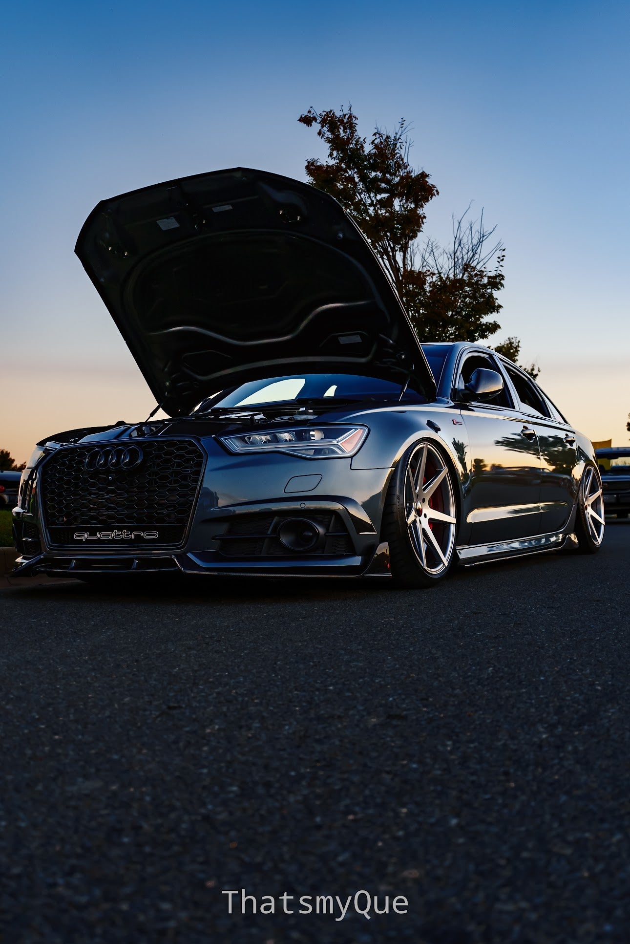 2016-2018 Audi RS6 Honeycomb Grille | C7.5 Audi A6/S6 | Real Carbon Fiber