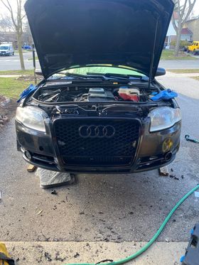 Audi RS4 Honeycomb Grille Quattro | 2006-2008 B7 A4