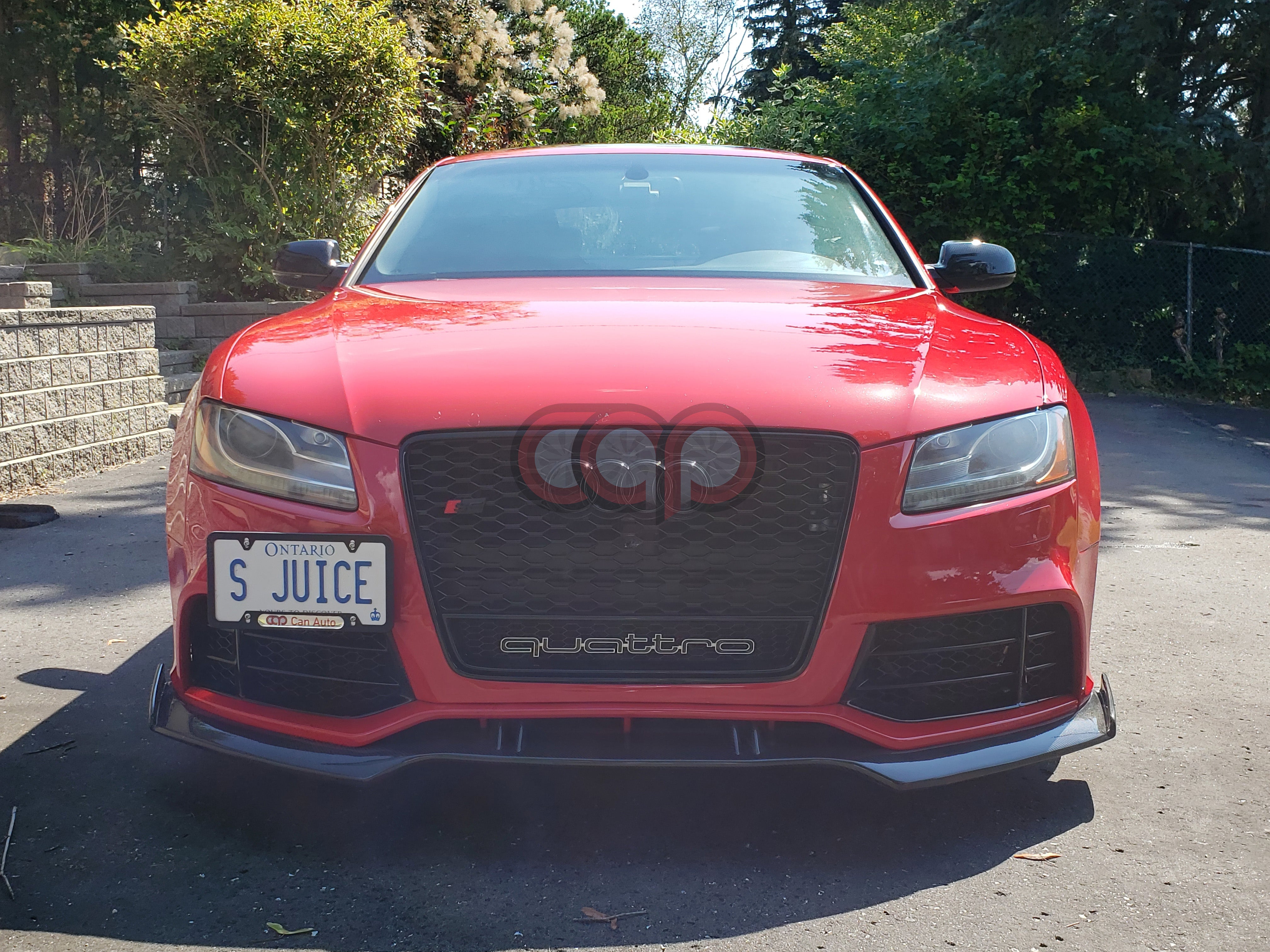 2008-2012 Audi RS5 Honeycomb Grille Quattro | B8 Audi A5/S5