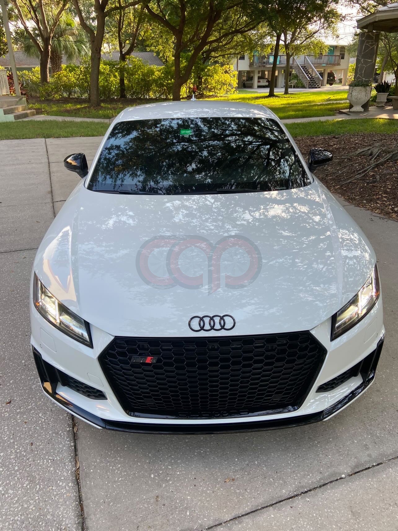 2016-2024 Audi TTRS Honeycomb Grille | MK3 8S TT/TTS - V2