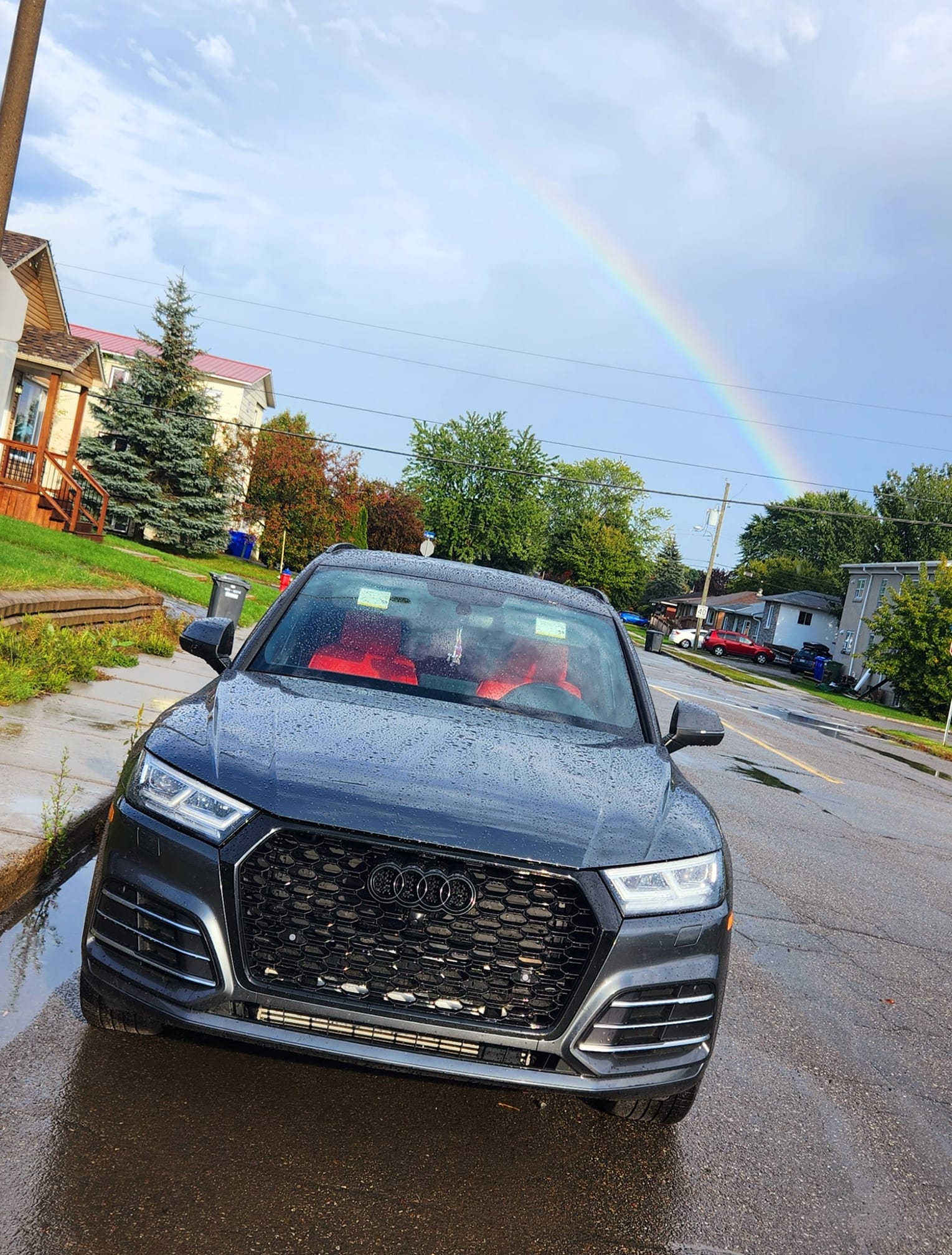 2018-2020 FY B9 Audi RSQ5 Honeycomb Grille | B9 Audi Q5, SQ5