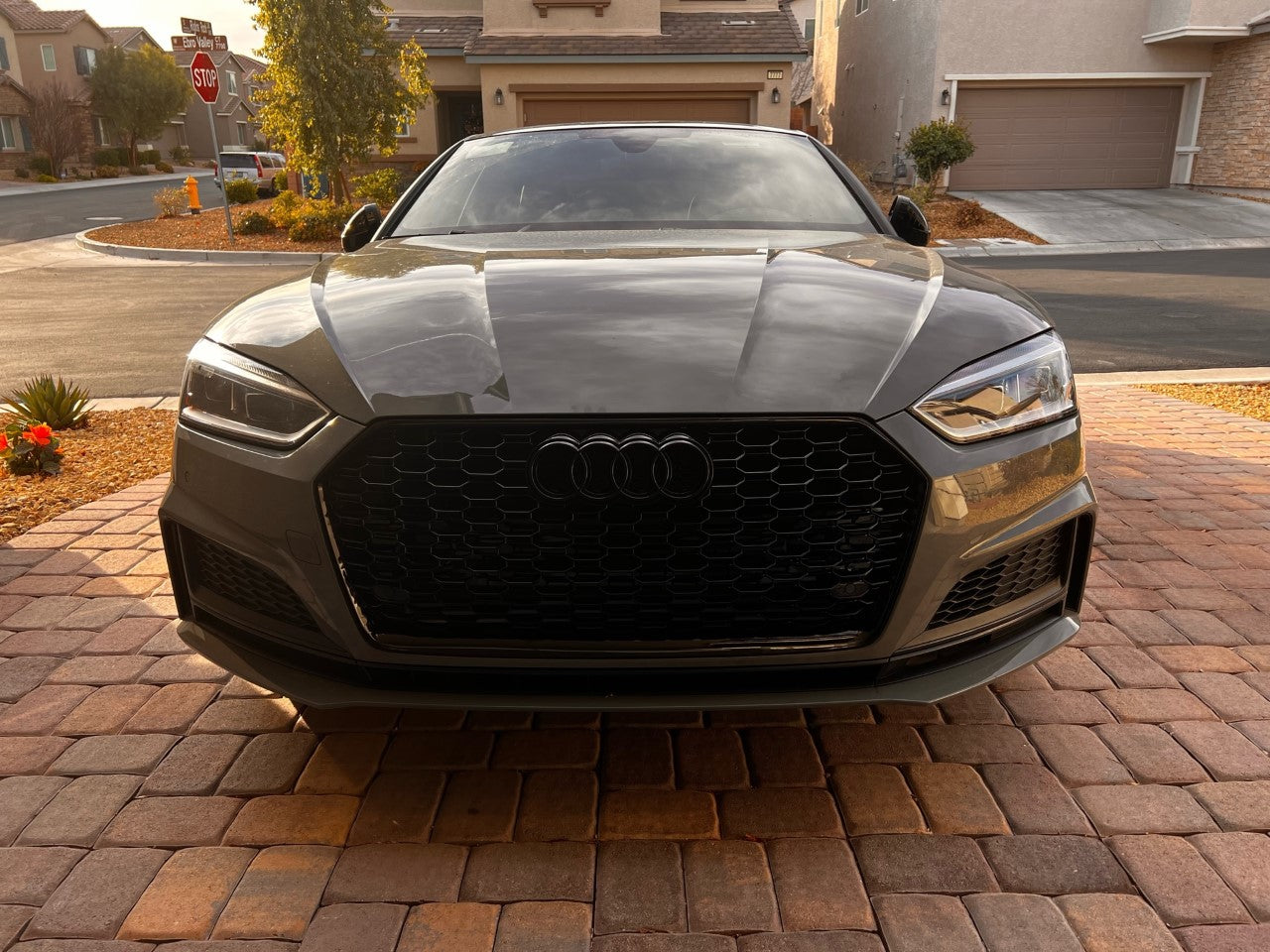 2018-2019 Audi RS5 Honeycomb Grille | B9 Audi A5/S5