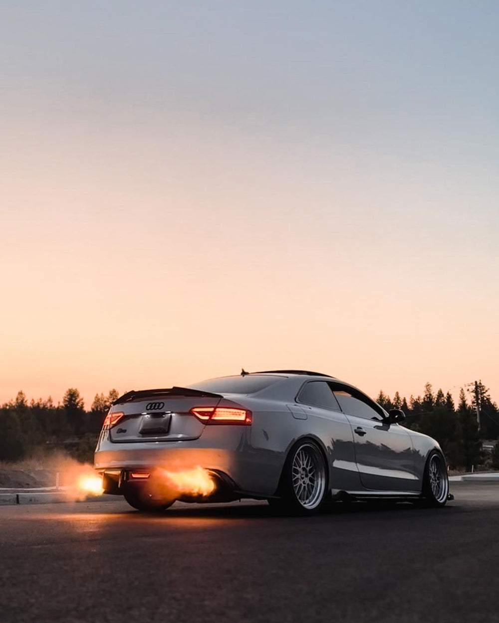 Everything About Can Auto Performance