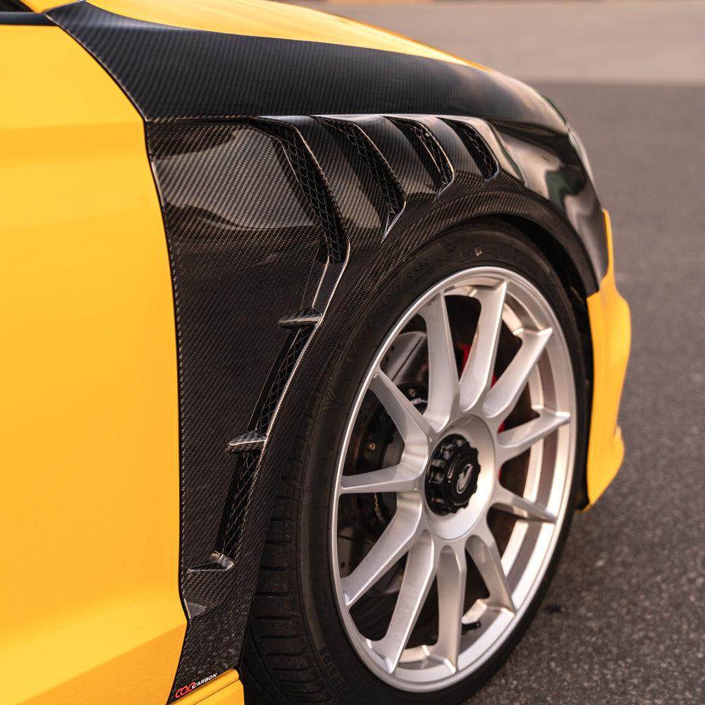 2015-2020 8V/8V.5 Audi A3/S3 - CAP Dry Carbon Fenders (Pair)