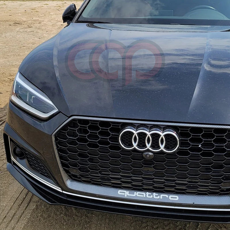2018-2019 Audi RS5 Honeycomb Grille