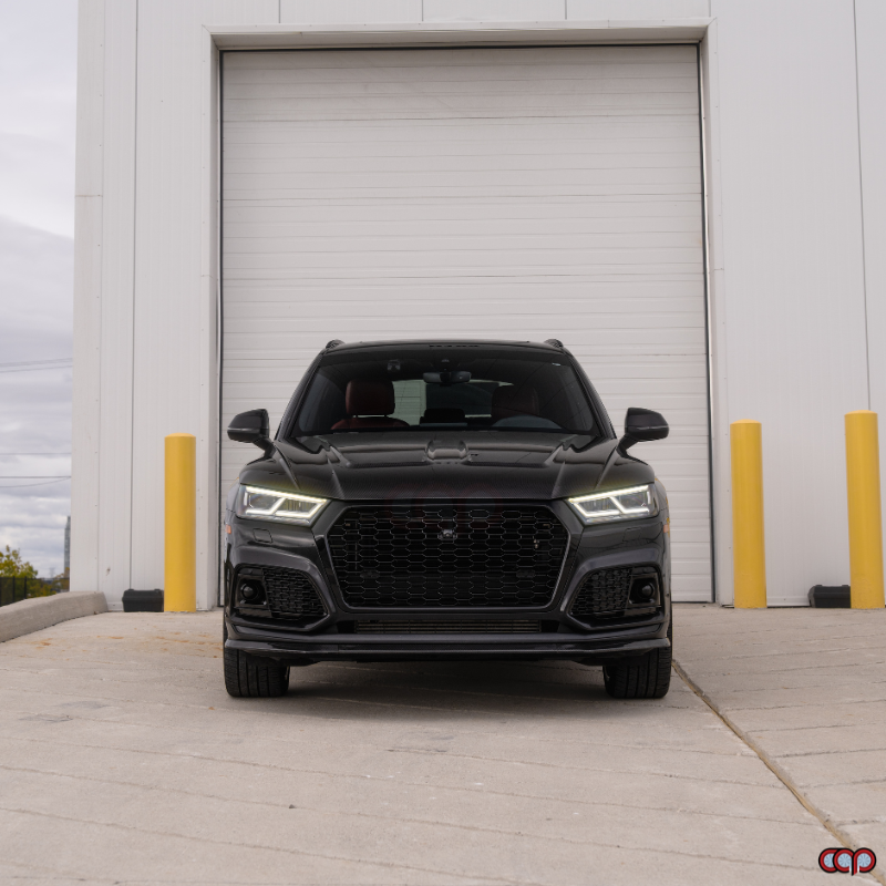 2018-2020 FY B9 Audi RSQ5 Honeycomb Grille | B9 Audi Q5, SQ5