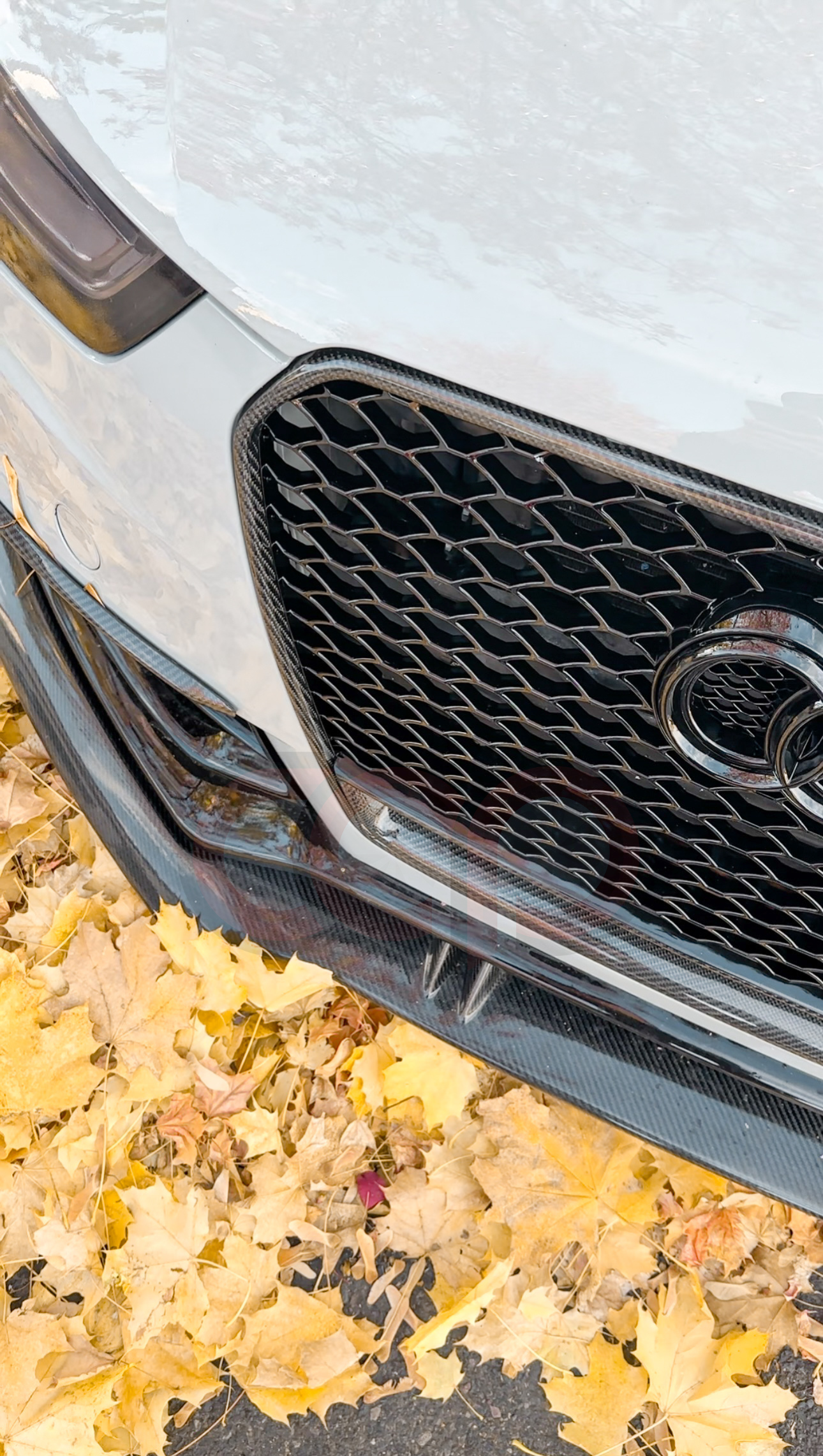 2013-2017 Audi RS5 Honeycomb Grille | B8.5 Audi A5/S5/RS5 | Real Carbon Fiber