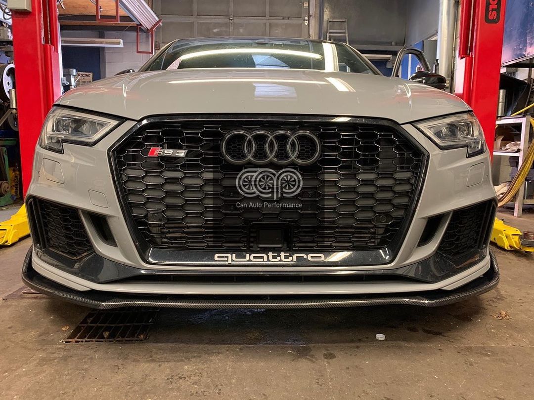 Audi RS3 Front Honeycomb Grille 