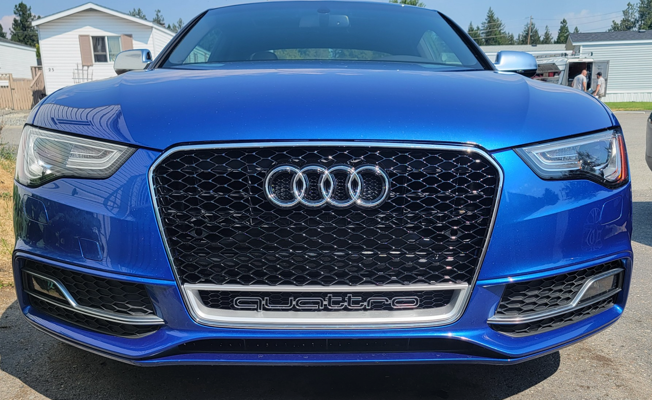 2013-2017 Audi RS5 Honeycomb Grille Quattro | B8.5 Audi A5/S5/RS5