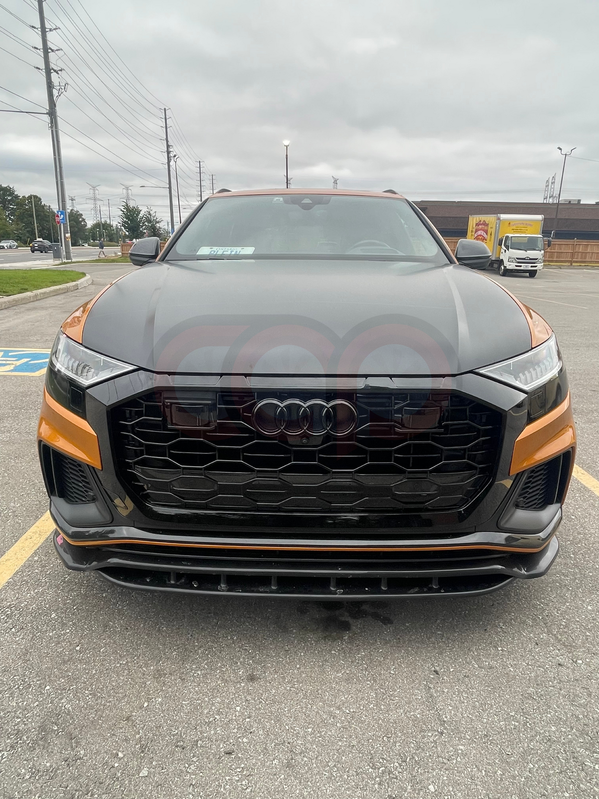 2019 Rsq8 2019-2023 Audi RSQ8 Honeycomb Grille with ACC | 4M B9 Audi Q8/SQ8